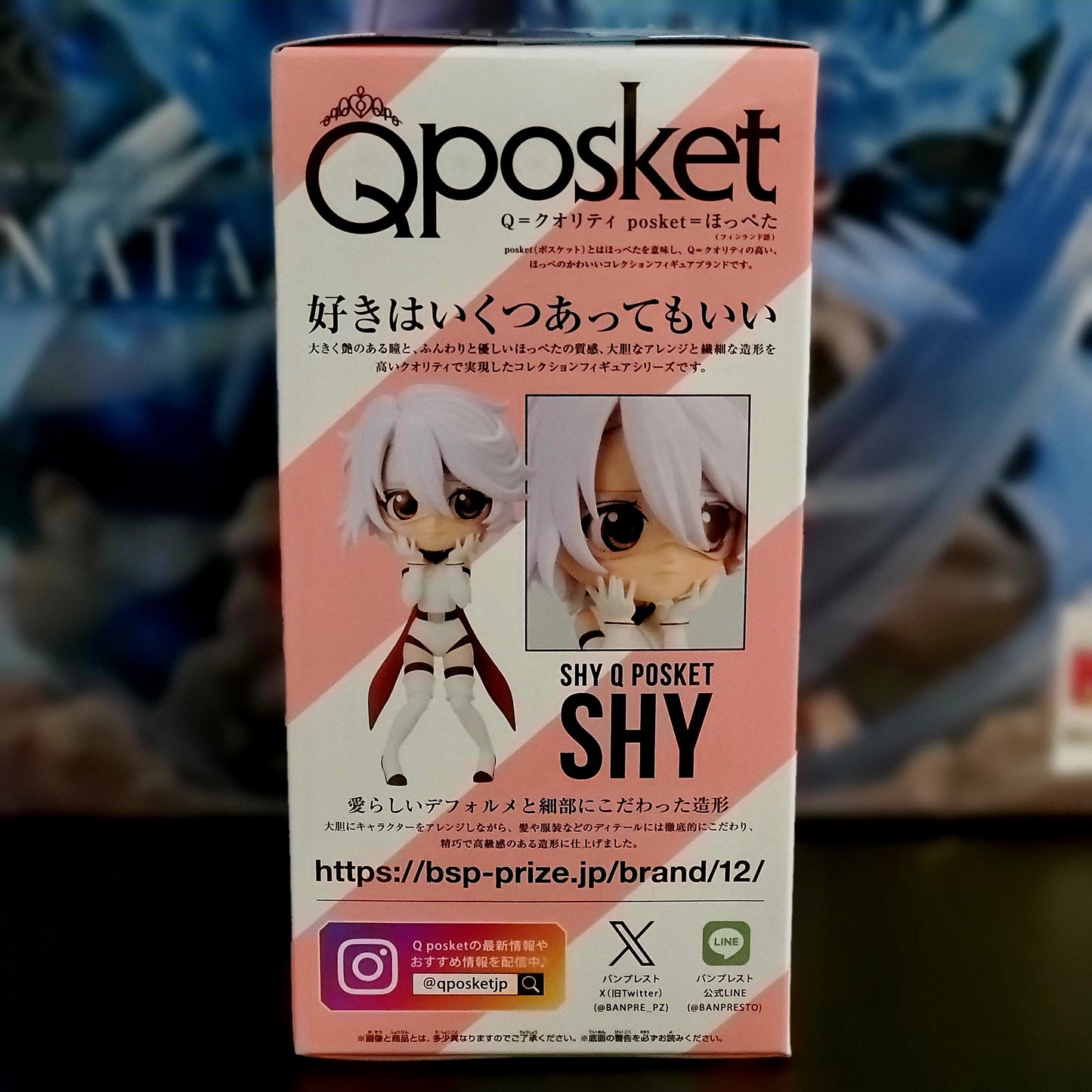 Q posket Shy shy